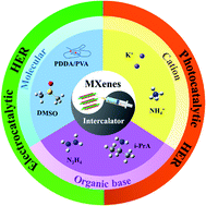 Graphical abstract: Intercalation engineering of MXenes towards highly efficient photo(electrocatalytic) hydrogen evolution reactions