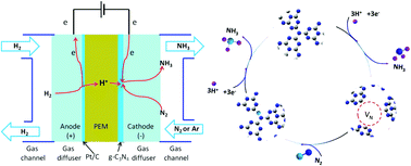 Graphical abstract: Dual roles of graphitic carbon nitride in the electrosynthesis of ammonia under ambient conditions