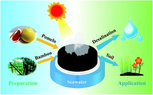 Graphical abstract: Bamboo fiber-reinforced chitosan sponge as a robust photothermal evaporator for efficient solar vapor generation