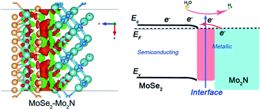 Graphical abstract: The local electronic structure modulation of the molybdenum selenide–nitride heterojunction for efficient hydrogen evolution reaction