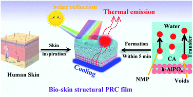 Graphical abstract: Bio-skin inspired 3D porous cellulose/AlPO4 nano-laminated film with structure-enhanced selective emission for all-day non-power cooling