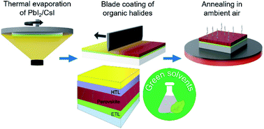 Graphical abstract: Triple-cation perovskite solar cells fabricated by a hybrid PVD/blade coating process using green solvents