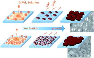 Graphical abstract: Modulated growth of high-quality CsPbI3 perovskite film using a molybdenum modified SnO2 layer for highly efficient solar cells