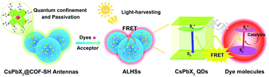 Graphical abstract: Confining perovskite quantum dots in the pores of a covalent-organic framework: quantum confinement- and passivation-enhanced light-harvesting and photocatalysis
