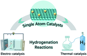 Graphical abstract: Single-atom catalysts for thermal- and electro-catalytic hydrogenation reactions