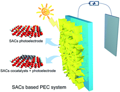 Graphical abstract: Single-atom-based catalysts for photoelectrocatalysis: challenges and opportunities