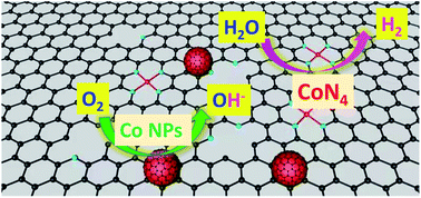 Graphical abstract: Atomic Co–N4 and Co nanoparticles confined in COF@ZIF-67 derived core–shell carbon frameworks: bifunctional non-precious metal catalysts toward the ORR and HER