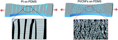 Graphical abstract: Carbon nanofiber-reinforced strain sensors with high breathability and anisotropic sensitivity