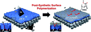 Graphical abstract: Enhancing the propylene/propane separation performances of ZIF-8 membranes by post-synthetic surface polymerization