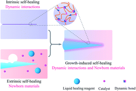 Graphical abstract: Damage restoration in rigid materials via a keloid-inspired growth process