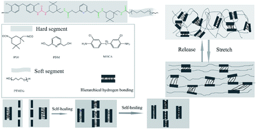 Graphical abstract: A room-temperature self-healing elastomer with ultra-high strength and toughness fabricated via optimized hierarchical hydrogen-bonding interactions