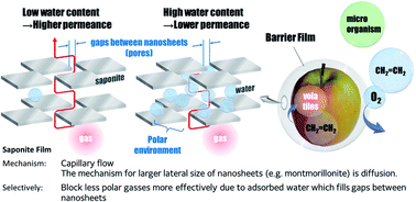 Graphical abstract: Highly adhesive and disposable inorganic barrier films: made from 2D silicate nanosheets and water