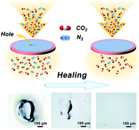 Graphical abstract: Spontaneous self-healing ionogels for efficient and reliable carbon dioxide separation