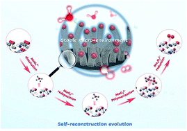 Graphical abstract: Sequential self-reconstruction of localized Mo species in hierarchical carbon/Co–Mo oxide heterostructures for boosting alkaline hydrogen evolution kinetics and durability