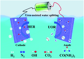 Graphical abstract: A phosphorus modified mesoporous AuRh film as an efficient bifunctional electrocatalyst for urea-assisted energy-saving hydrogen production