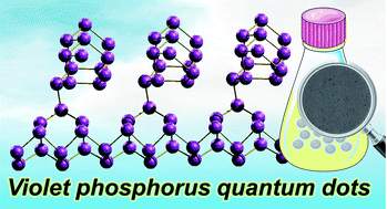Graphical abstract: Violet phosphorus quantum dots