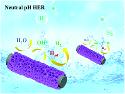 Graphical abstract: Construction of efficient bismuth/boron-based flexible electrodes in organic media toward neutral hydrogen evolution