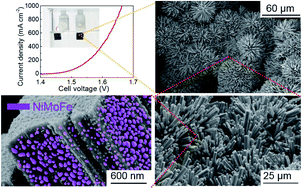 Graphical abstract: NiMoFe nanoparticles@MoO2 nano-pillar arrays as bifunctional electrodes for ultra-low-voltage overall water splitting