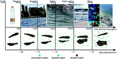 Graphical abstract: Anomalously low electrostatic bending stiffness of graphene oxide 2D membranes regulates their environmental fate in aquatic ecosystems