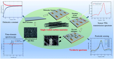 Graphical abstract: A novel terahertz metasurface based on a single-walled carbon nanotube film for sensing application