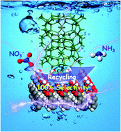 Graphical abstract: Achieving high selectivity for nitrate electrochemical reduction to ammonia over MOF-supported RuxOy clusters