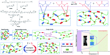 Graphical abstract: Solving the difficult recyclability of conventional thermosetting polyurea elastomers based on commercial raw materials in a facile way