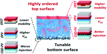 Graphical abstract: Conjugated polymers with controllable interfacial order and energetics enable tunable heterojunctions in organic and colloidal quantum dot photovoltaics