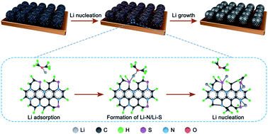 Graphical abstract: Uniform lithium nucleation/deposition regulated by N/S co-doped carbon nanospheres towards ultra-stable lithium metal anodes