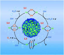 Graphical abstract: Activating the lattice oxygen oxidation mechanism in amorphous molybdenum cobalt oxide nanosheets for water oxidation