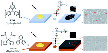 Graphical abstract: A dopant-free hole transport material boosting the performance of inverted methylamine-free perovskite solar cells