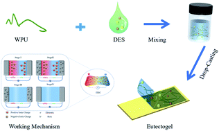 Graphical abstract: Quasi-solid conductive gels with high thermoelectric properties and high mechanical stretchability consisting of a low cost and green deep eutectic solvent