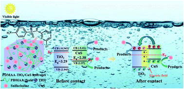 Graphical abstract: Fabrication of a novel separation-free heterostructured photocatalyst with enhanced visible light activity in photocatalytic degradation of antibiotics