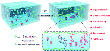 Graphical abstract: A highly sensitive and ultra-stretchable zwitterionic liquid hydrogel-based sensor as anti-freezing ionic skin