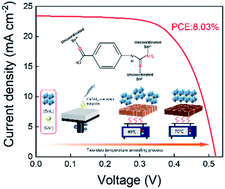 Graphical abstract: Over 8% efficient CsSnI3-based mesoporous perovskite solar cells enabled by two-step thermal annealing and surface cationic coordination dual treatment