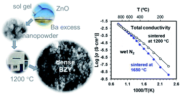 Graphical abstract: Processing and characterisation of BaZr0.8Y0.2O3−δ proton conductor densified at 1200 °C