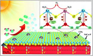 Graphical abstract: Coupling NiCo catalysts with carbon quantum dots on hematite photoanodes for highly efficient oxygen evolution