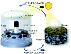 Graphical abstract: Atmospheric water harvester-assisted solar steam generation for highly efficient collection of distilled water