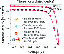 Graphical abstract: Conjugated polyelectrolytes for stable perovskite solar cells based on methylammonium lead triiodide