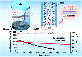 Graphical abstract: Regulating lithium deposition behavior by electrokinetic effects in a high-zeta-potential h-BN/zinc-lithium alloy for high-performance lithium metal anodes