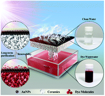 Graphical abstract: A robust and renewable solar steam generator for high concentration dye wastewater purification