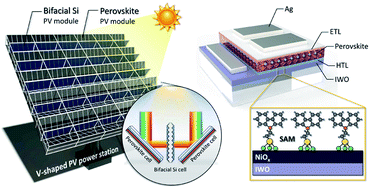 Graphical abstract: Inverted perovskite/silicon V-shaped tandem solar cells with 27.6% efficiency via self-assembled monolayer-modified nickel oxide layer