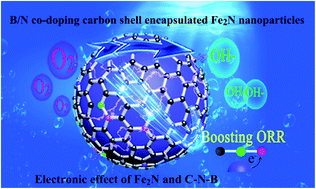 Graphical abstract: Promoting interfacial charge transfer by B/N co-doping enables efficient ORR catalysis of carbon-encapsulated Fe2N