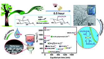 Graphical abstract: Rapid and manual-shaking exfoliation of amidoximated cellulose nanofibrils for a large-capacity filtration capture of uranium