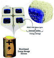 Graphical abstract: Utilizing native lignin as redox-active material in conductive wood for electronic and energy storage applications