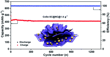 Graphical abstract: Mesoporous N-doped carbon-coated CoSe nanocrystals encapsulated in S-doped carbon nanosheets as advanced anode with ultrathin solid electrolyte interphase for high-performance sodium-ion half/full batteries
