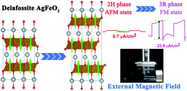 Graphical abstract: Boosting and regulating solar energy conversion performance of delafossite AgFeO2 by spin polarization
