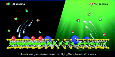 Graphical abstract: Bifunctional gas sensor based on Bi2S3/SnS2 heterostructures with improved selectivity through visible light modulation