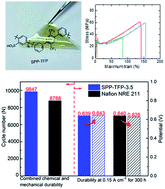 Graphical abstract: Well-designed polyphenylene PEMs with high proton conductivity and chemical and mechanical durability for fuel cells