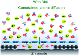 Graphical abstract: Highly reversible zinc metal anodes enabled by protonated melamine