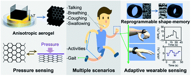 Graphical abstract: Anisotropic conductive shape-memory aerogels as adaptive reprogrammable wearable electronics for accurate long-term pressure sensing